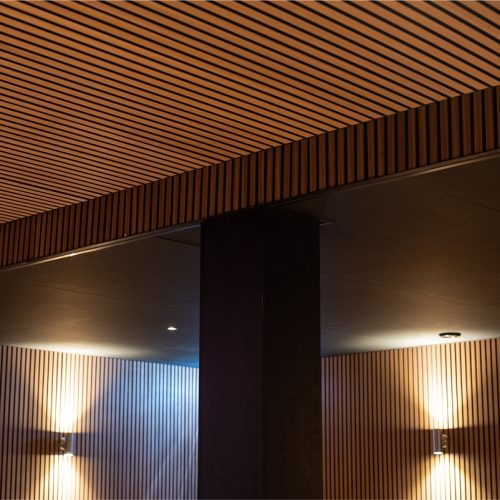 Akoestische plafond panelen