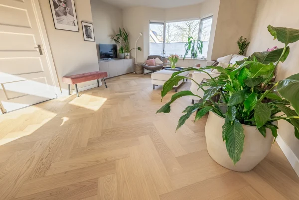 Floer Hybride Hout Visgraat vloer Puur Eiken interieur